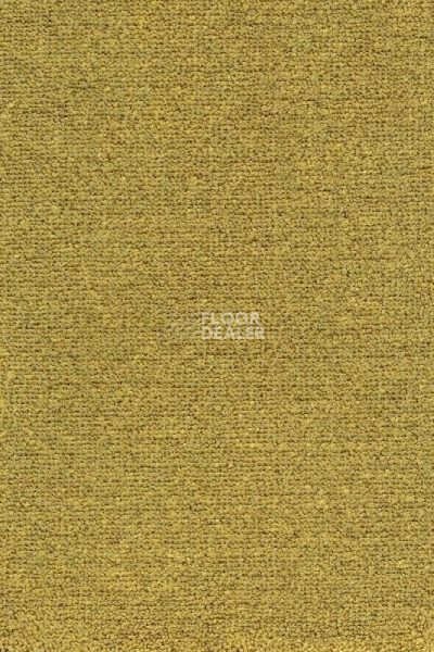 Ковролин AW Masquerade Mezza 54 фото 1 | FLOORDEALER